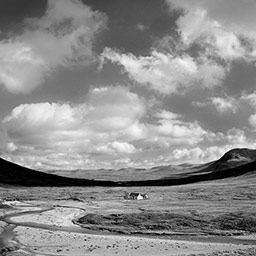 Rannoch, moor, glencoe, scotland, photography, art, landscape